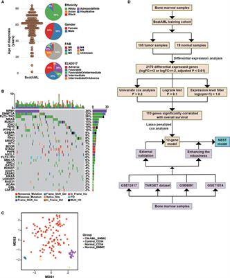 Prognostic Prediction of Cytogenetically Normal Acute Myeloid Leukemia Based on a Gene Expression Model